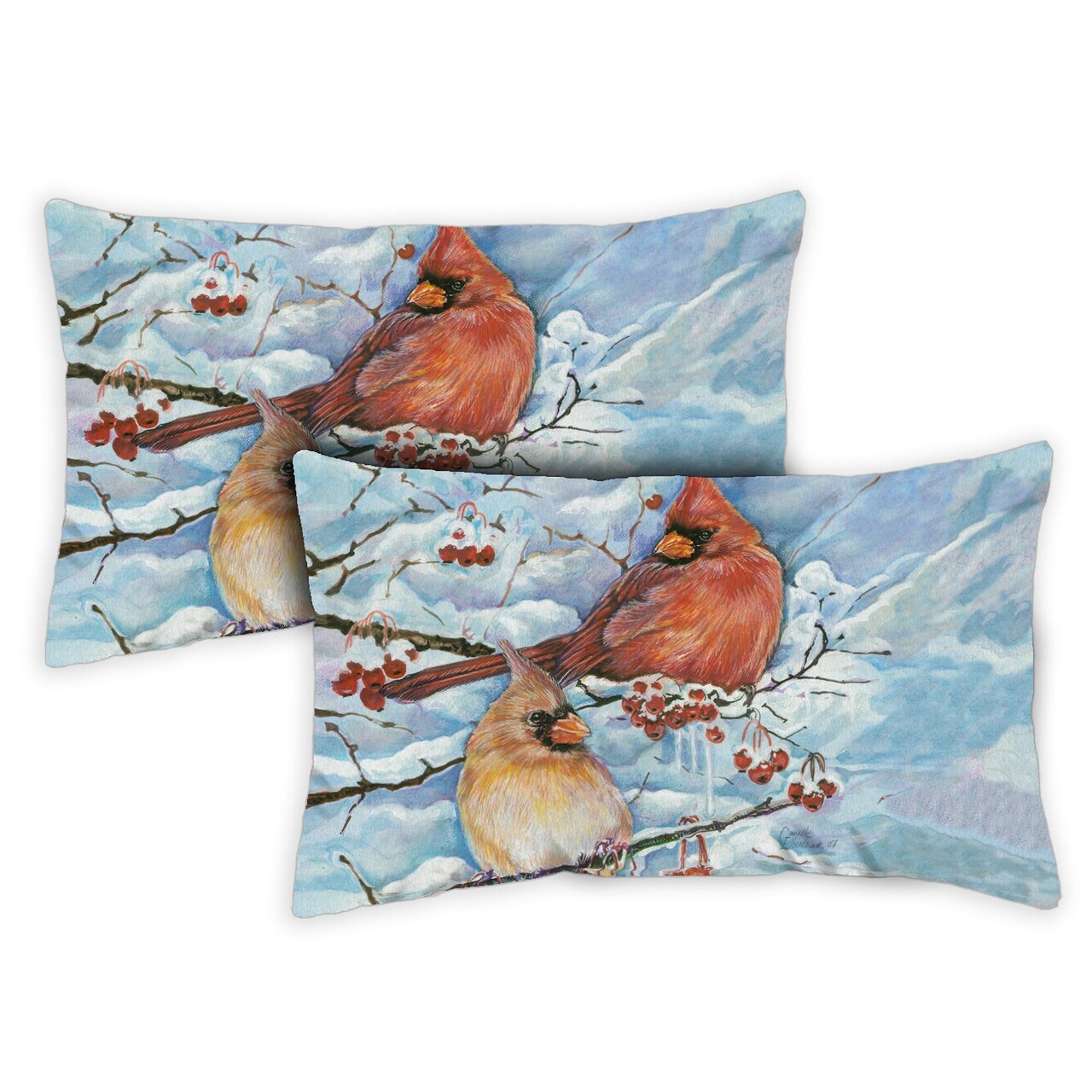 Winter throw pillow best sale covers